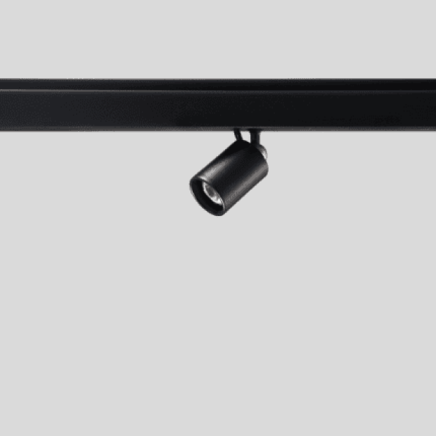 micro-c piccolo-1